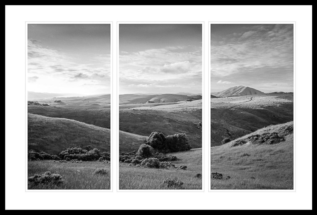 Point Reyes Triptych framed - Marty Knapp