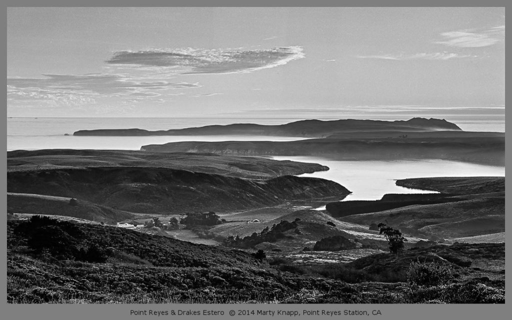 Point Reyes and Drakes Estero Marty Knapp