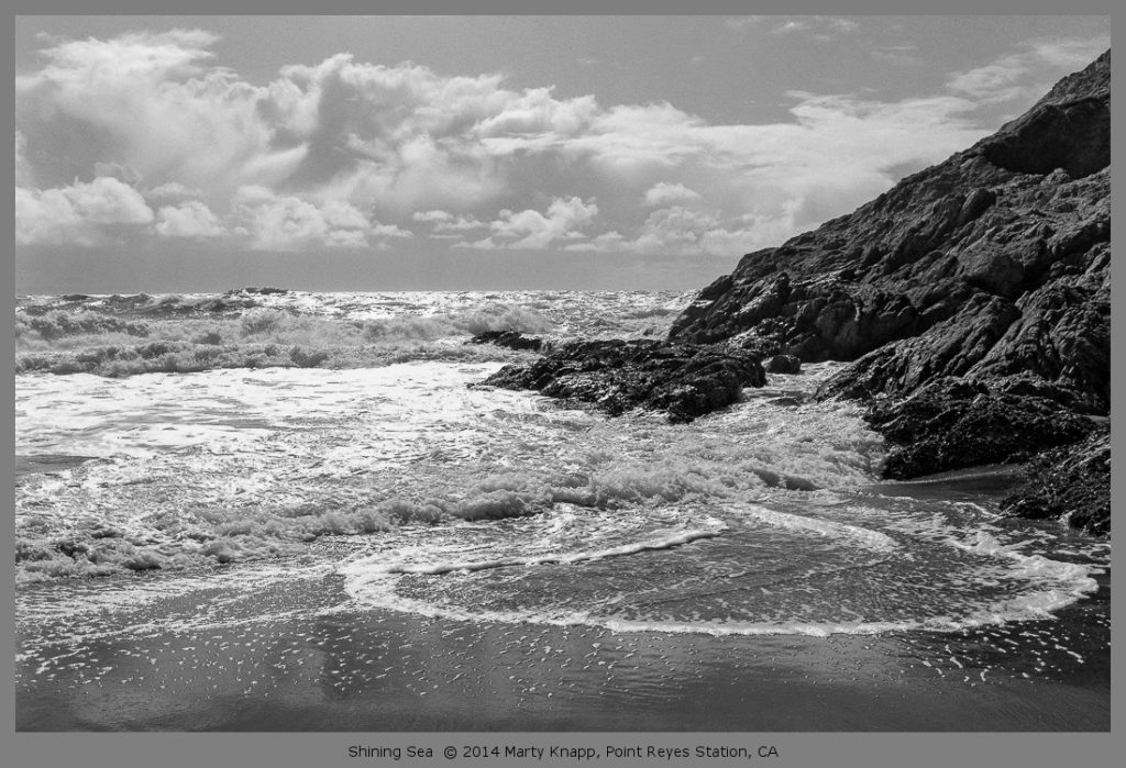 shining-sea-point-reyes-marty-knapp