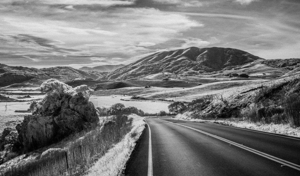 The Road to Nicasio Valley Marty Knapp