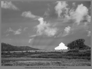 Wetlands Barn & Clouds