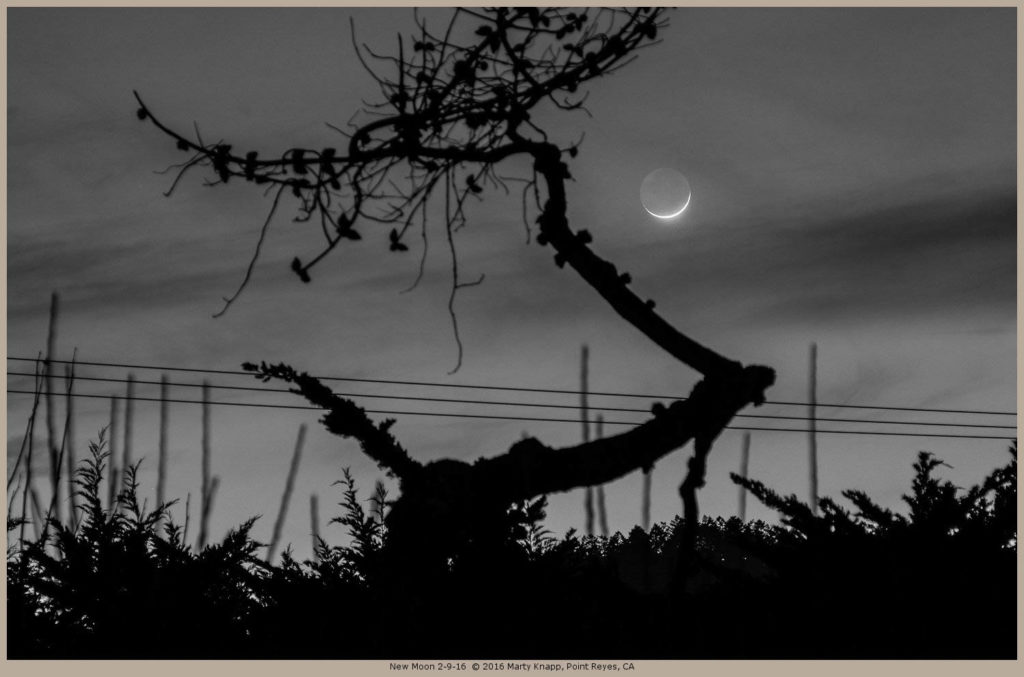 CALIFORNIA, knapp porch, new moon, tree branch