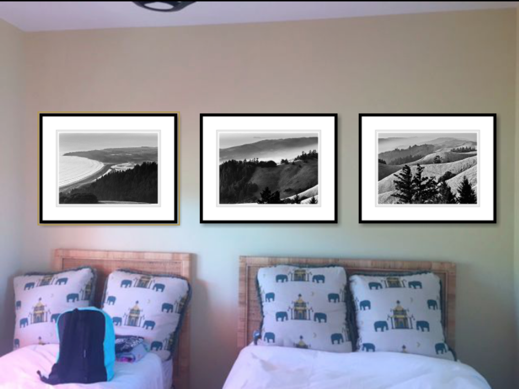 Bolinas Triptych in Single Frames Bedroom