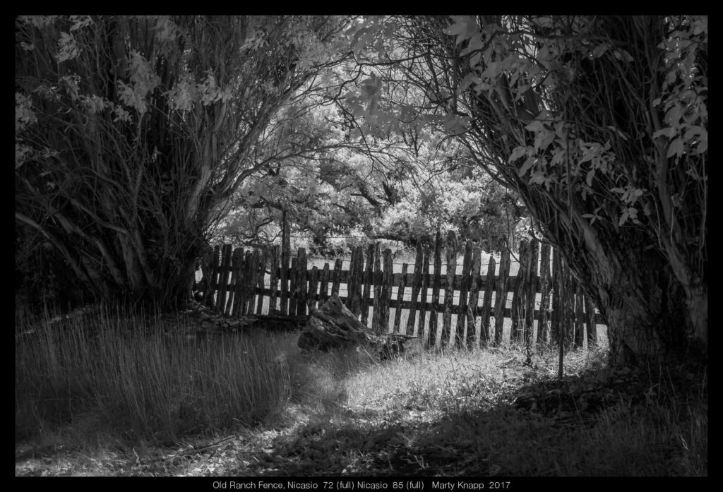 Old Ranch Fence, Nicasio 72 (full) Nicasio 85 (full) Marty Knapp