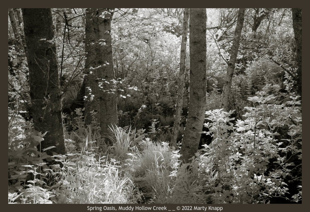 Muddy Spring Morning My Favorite Photos from 2022 - Marty Knapp