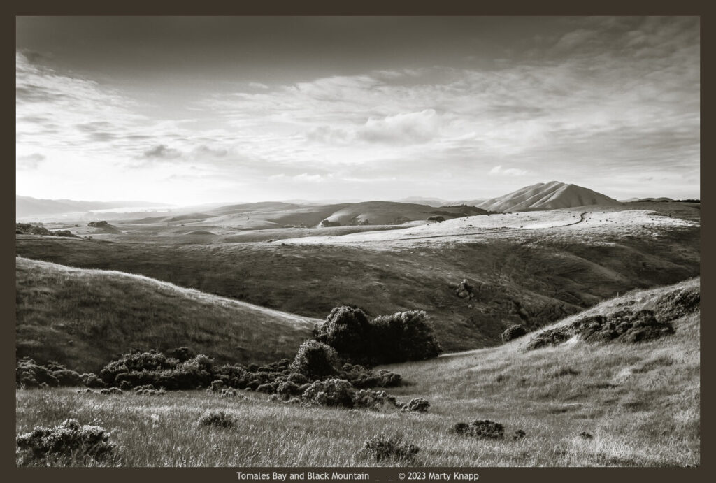 Tomales Bay and Black Mountain - Marty Knapp