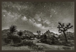Yuccas and Stars